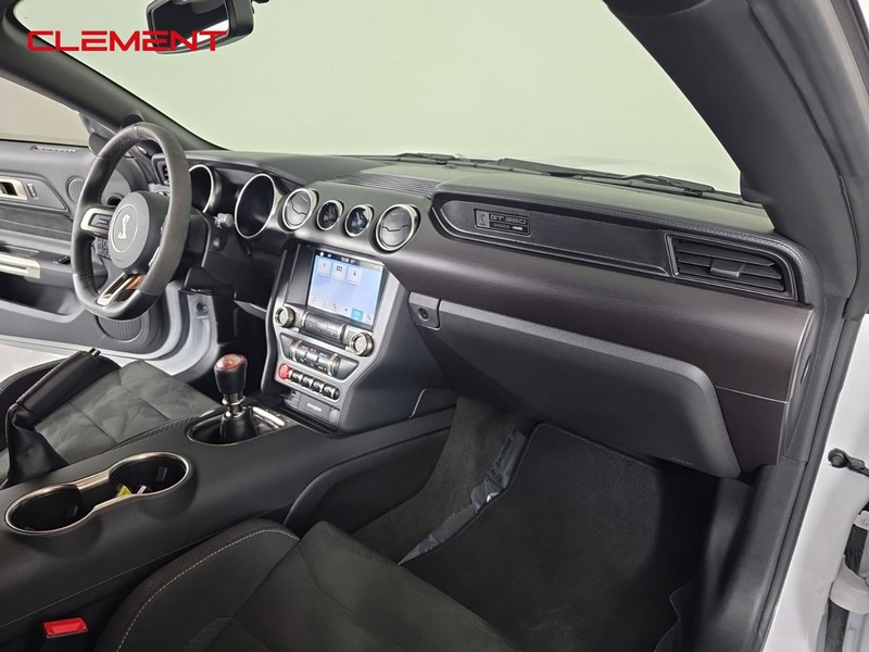 Ford Mustang Vehicle Image 28