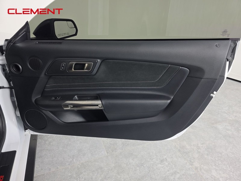 Ford Mustang Vehicle Image 29