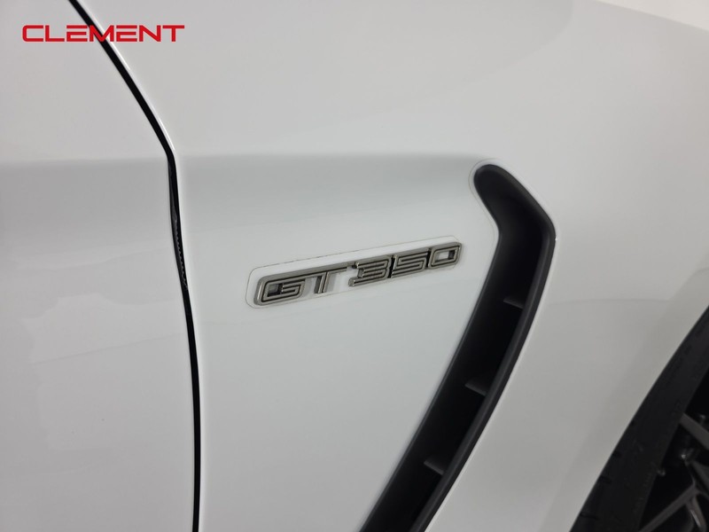 Ford Mustang Vehicle Image 30