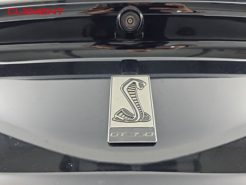 Ford Mustang Vehicle Image 32