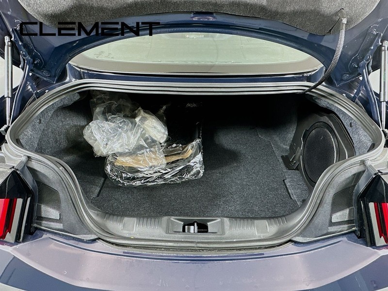 Ford Mustang Vehicle Image 10