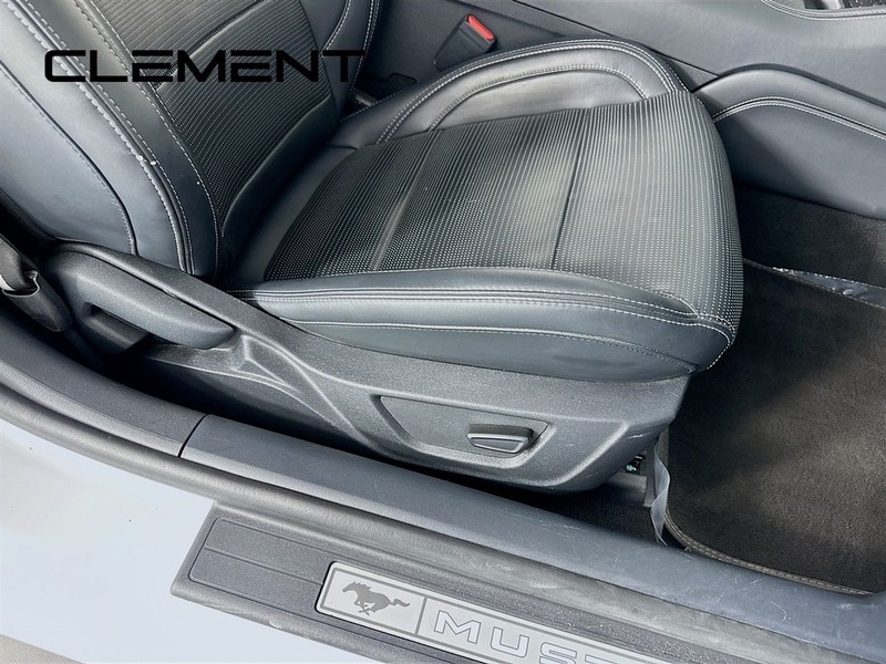 Ford Mustang Vehicle Full-screen Gallery Image 33