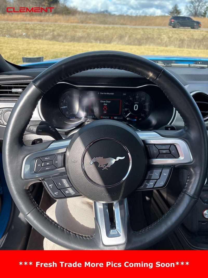 Ford Mustang Vehicle Image 03