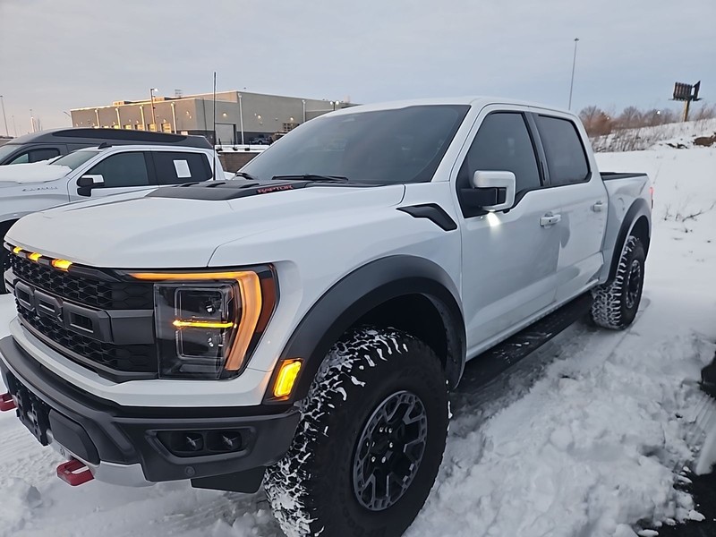 Ford F-150 Vehicle Image 02