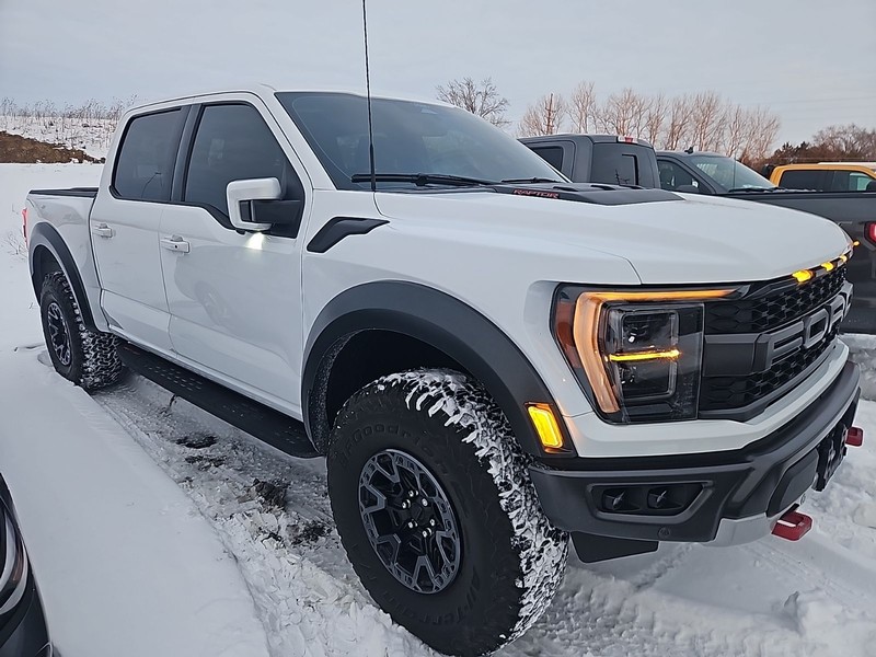 Ford F-150 Vehicle Image 03