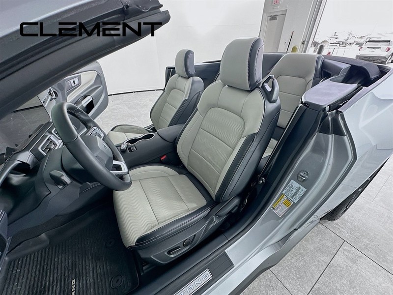 Ford Mustang Vehicle Full-screen Gallery Image 31