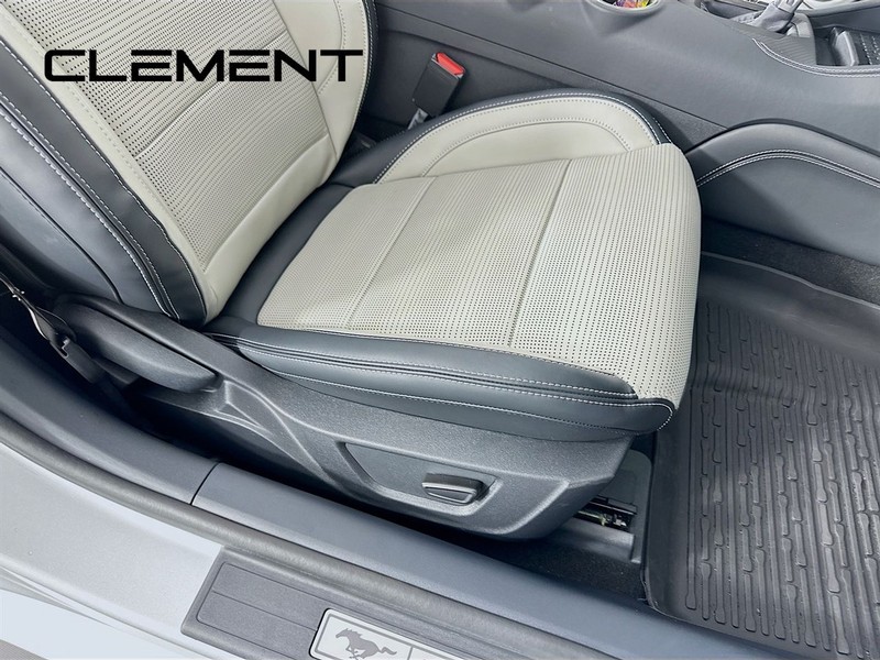 Ford Mustang Vehicle Full-screen Gallery Image 33