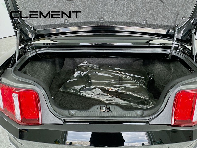 Ford Mustang Vehicle Image 11