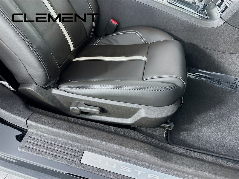 Ford Mustang Vehicle Image 30