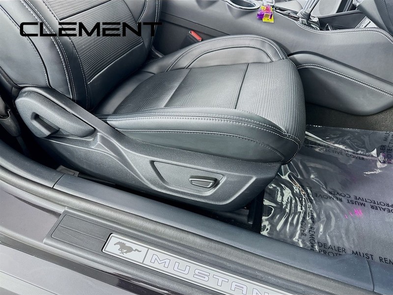 Ford Mustang Vehicle Full-screen Gallery Image 33