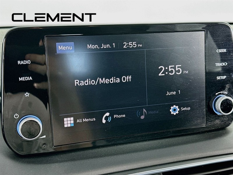 Hyundai Santa Fe Vehicle Image 19
