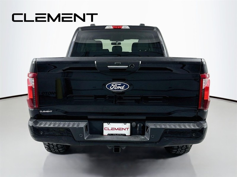 Ford F-150 Vehicle Image 08