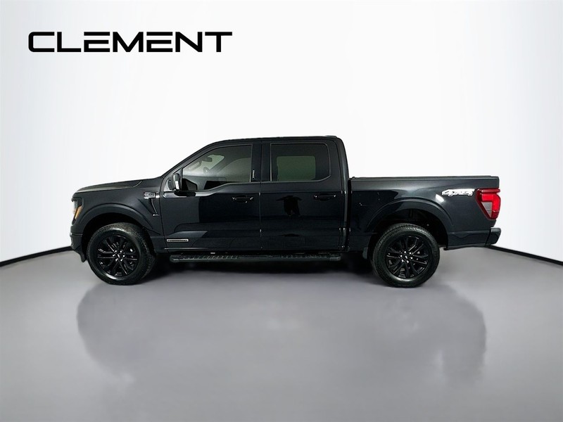 Ford F-150 Vehicle Image 06