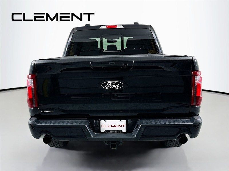 Ford F-150 Vehicle Image 08