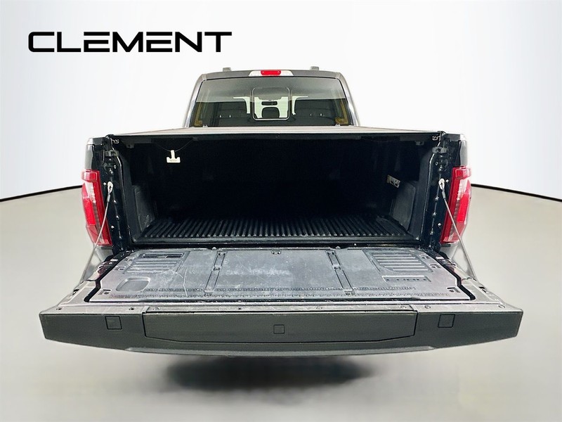 Ford F-150 Vehicle Image 11