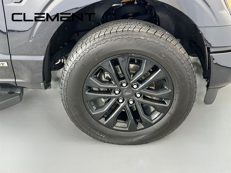 Ford F-150 Vehicle Image 35