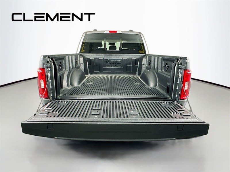 Ford F-150 Vehicle Image 11