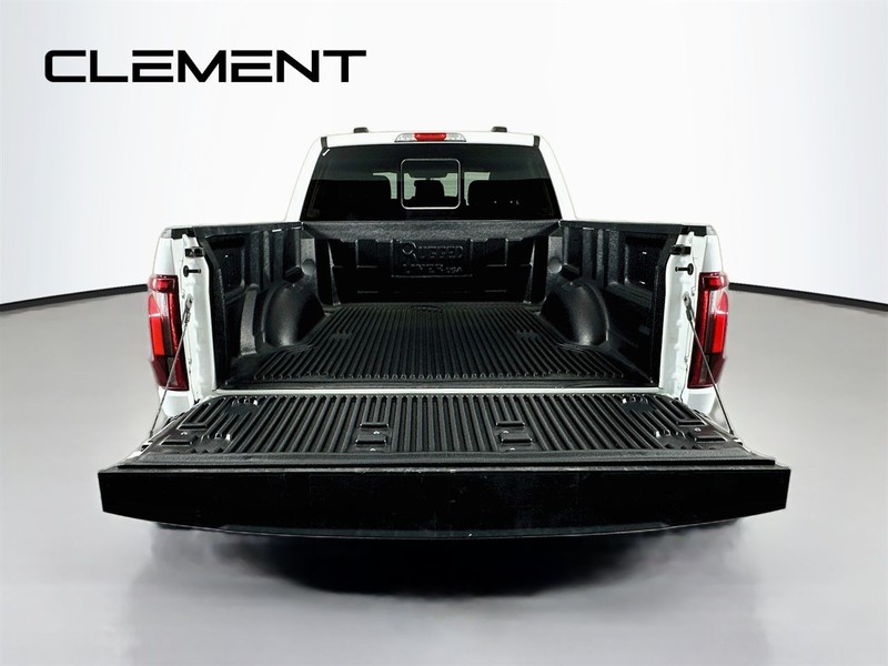 Ford F-150 Vehicle Image 11