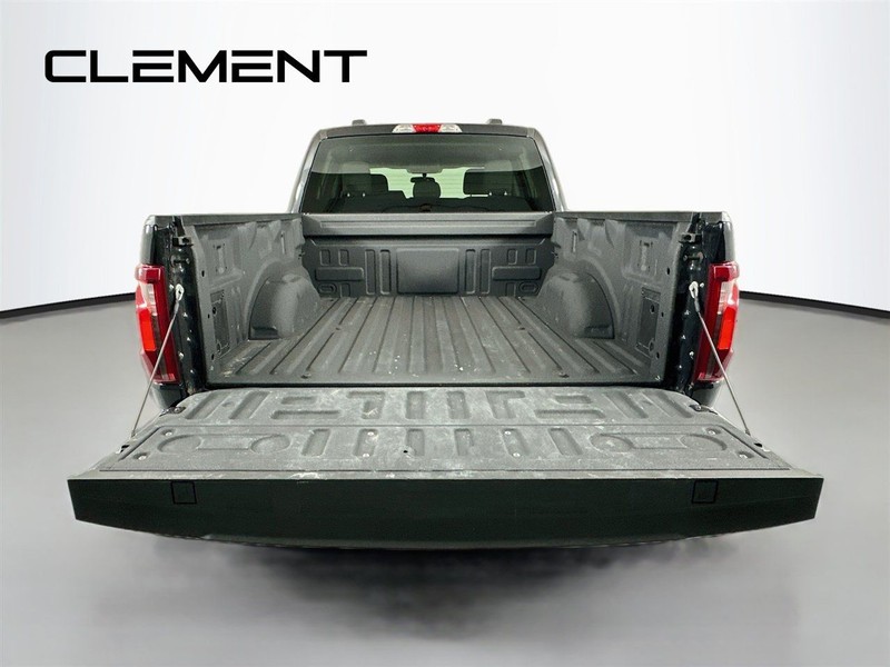 Ford F-150 Vehicle Full-screen Gallery Image 11