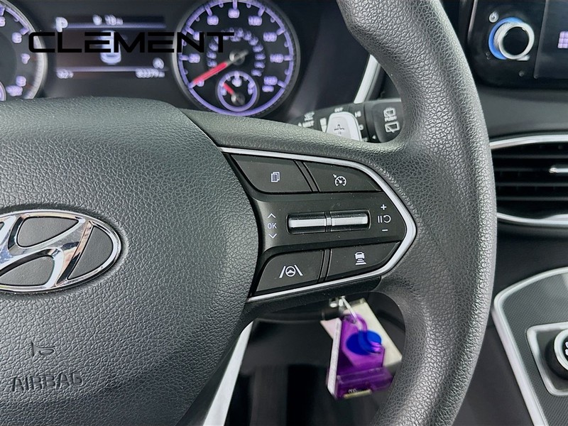 Hyundai Santa Fe Vehicle Image 17