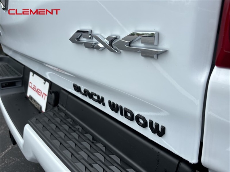 Ram 1500 Vehicle Image 35