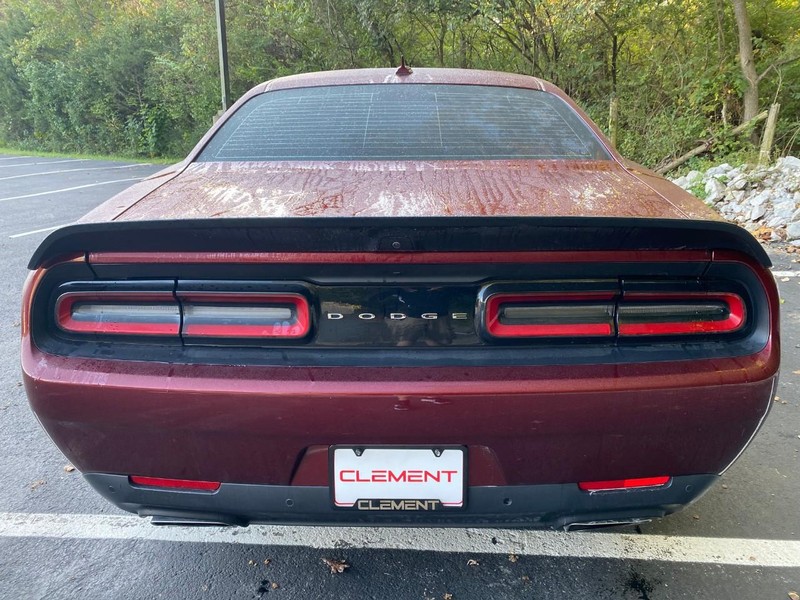 Dodge Challenger Vehicle Image 08