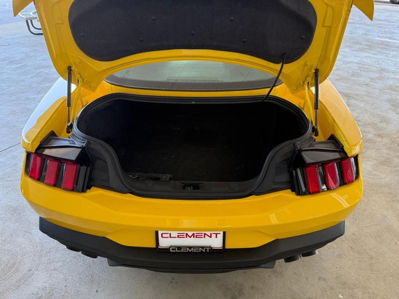 Ford Mustang Vehicle Image 07