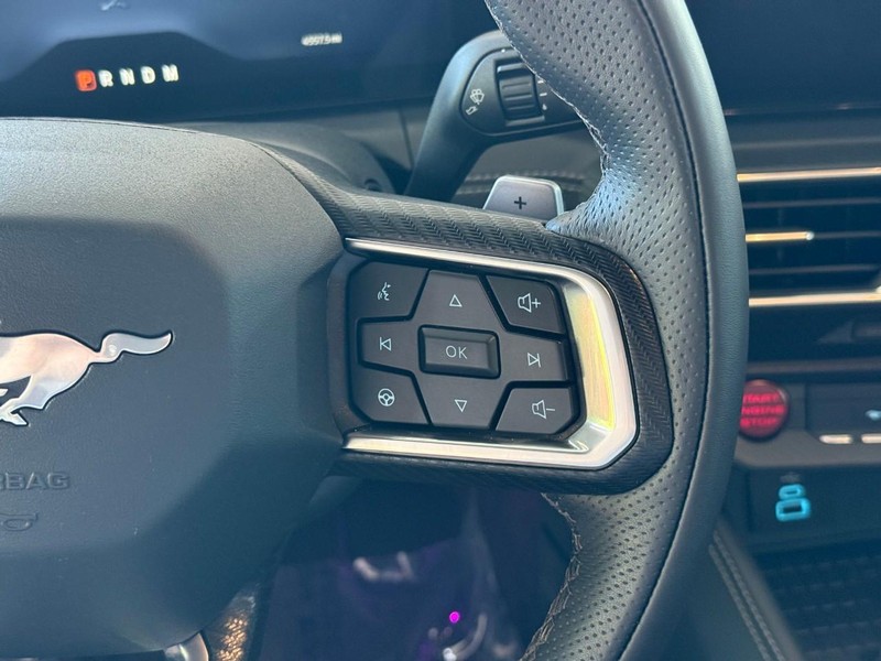 Ford Mustang Vehicle Image 19