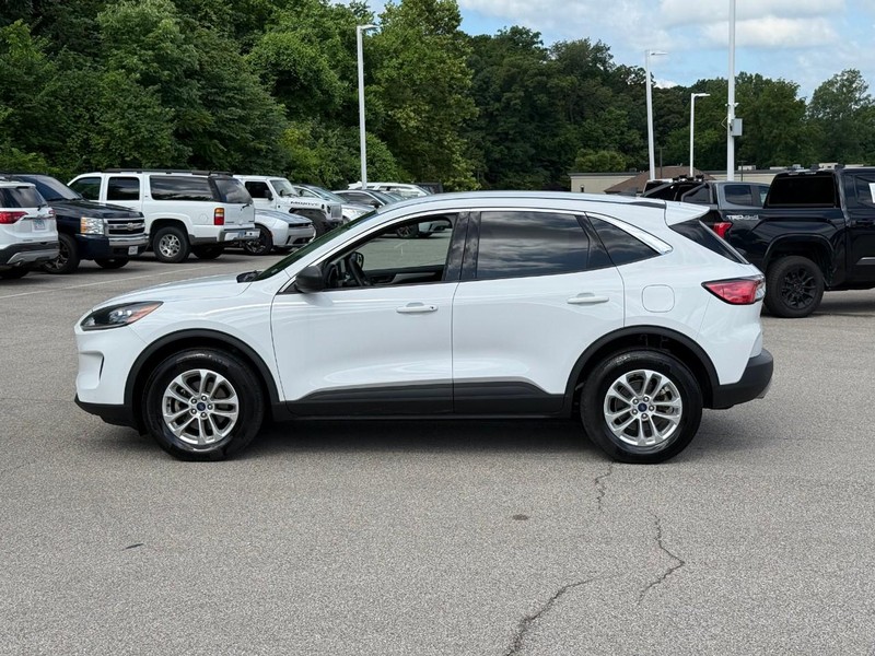 Ford Escape Vehicle Image 03