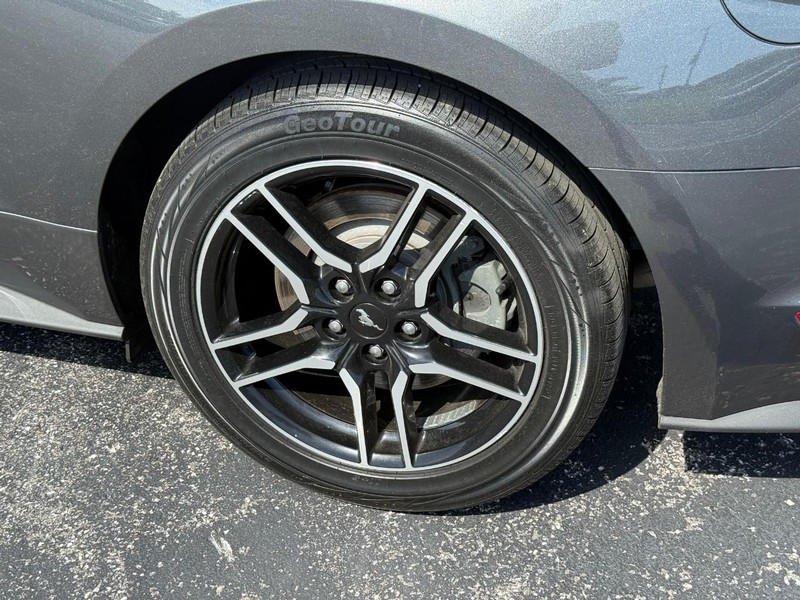 Ford Mustang Vehicle Image 05