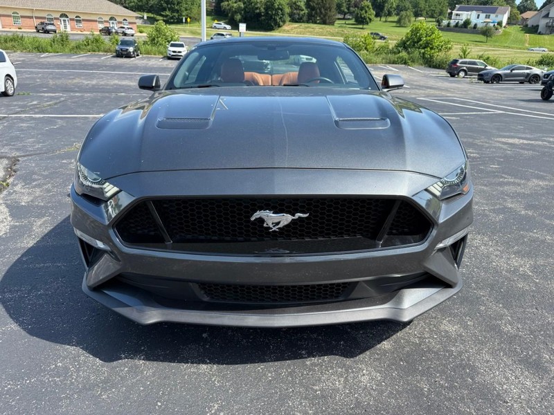 Ford Mustang Vehicle Image 12