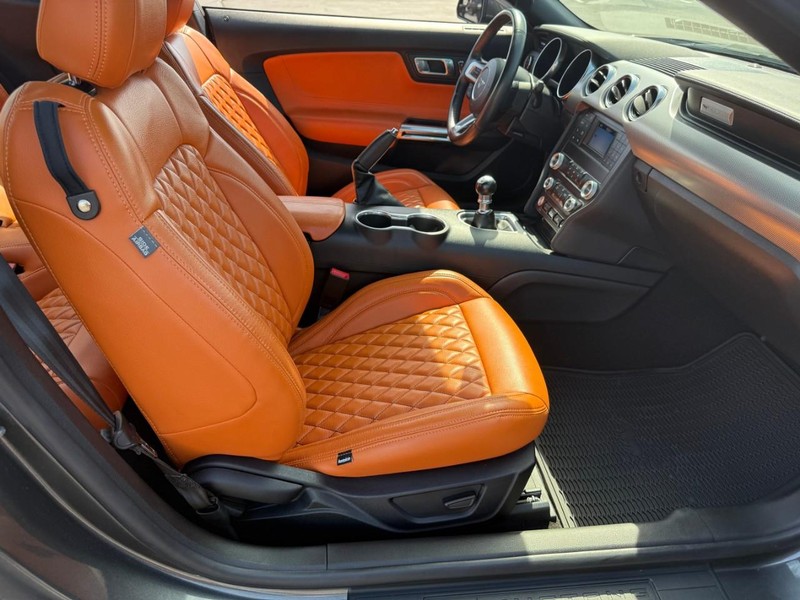 Ford Mustang Vehicle Image 13