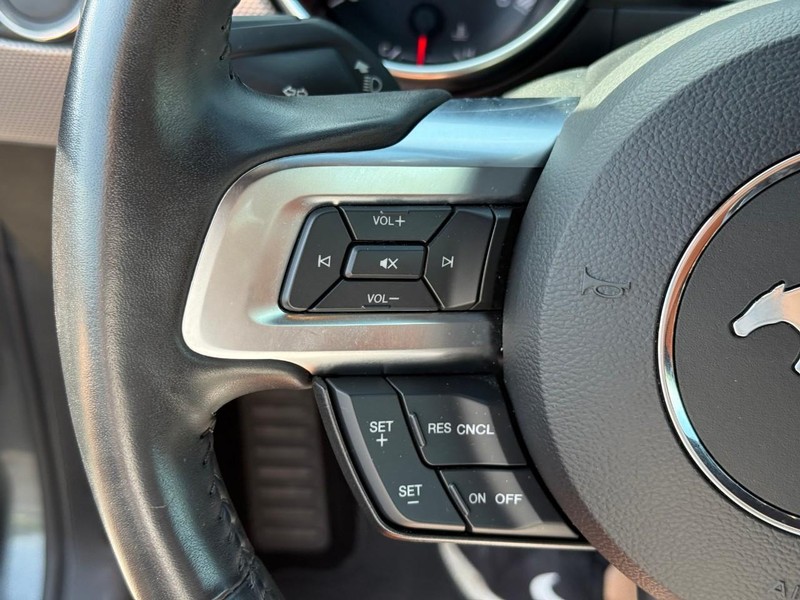 Ford Mustang Vehicle Image 18