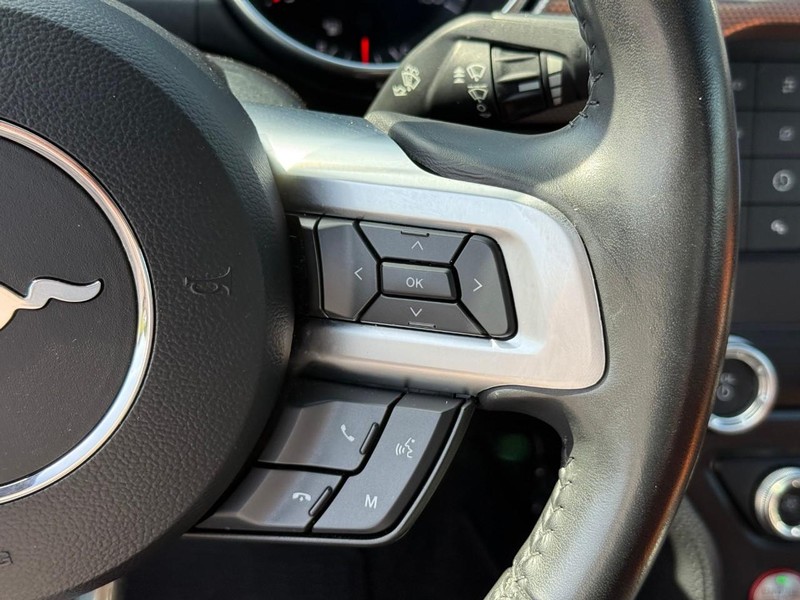 Ford Mustang Vehicle Image 19