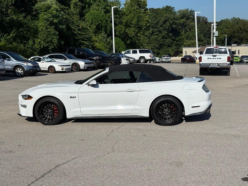 Ford Mustang Vehicle Image 03