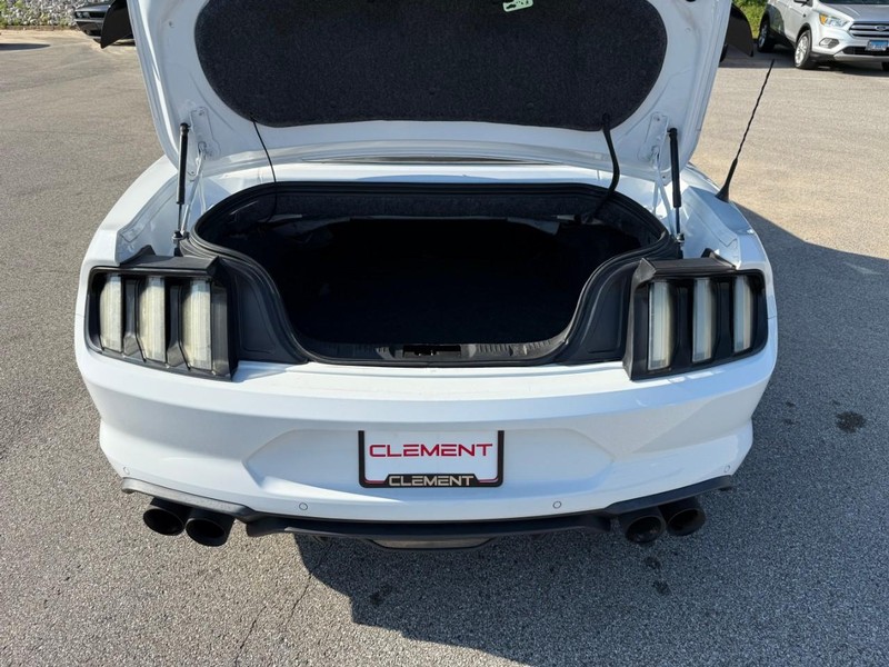 Ford Mustang Vehicle Image 07