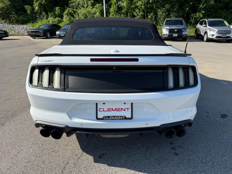 Ford Mustang Vehicle Image 08