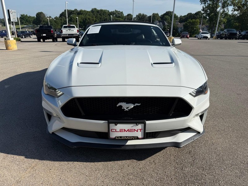Ford Mustang Vehicle Image 12