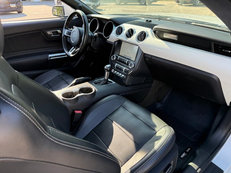 Ford Mustang Vehicle Image 13