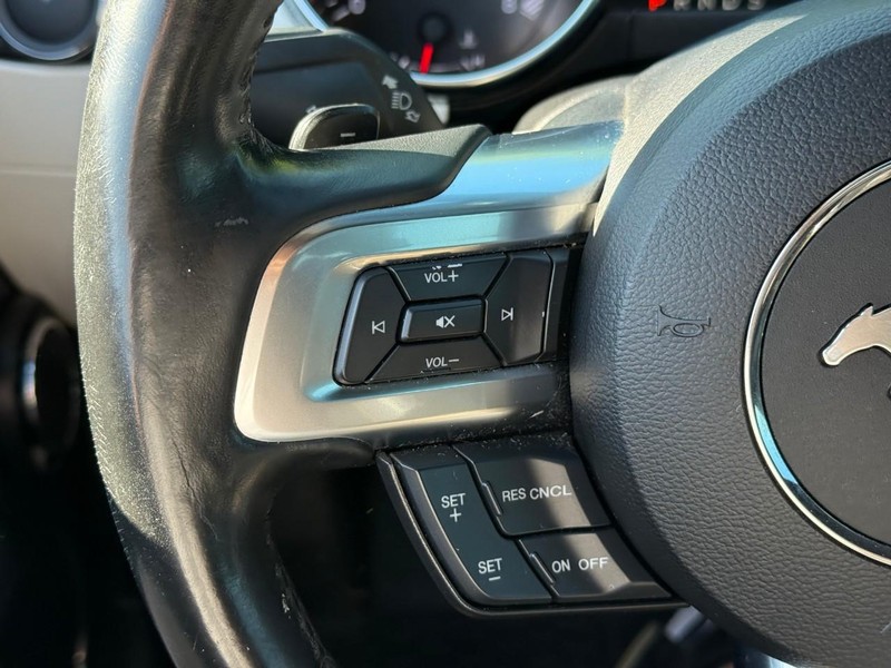Ford Mustang Vehicle Image 19