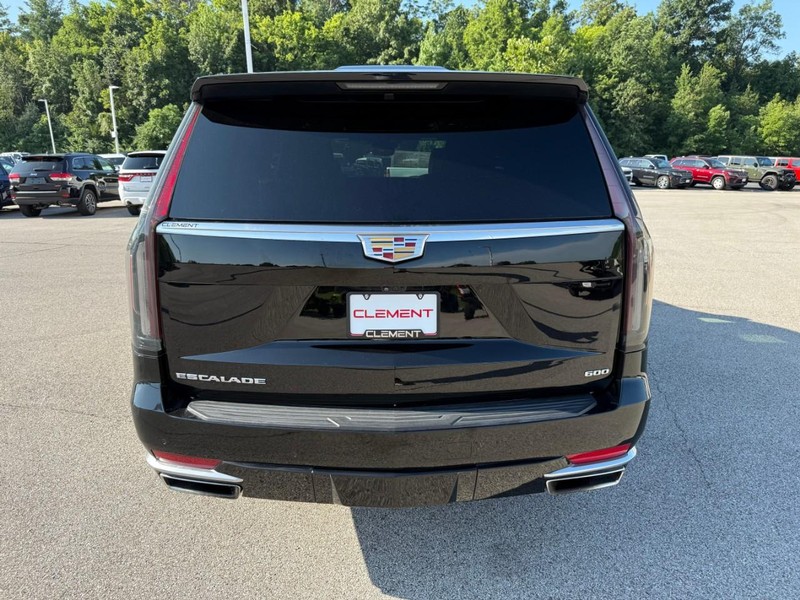 Cadillac Escalade ESV Vehicle Image 08