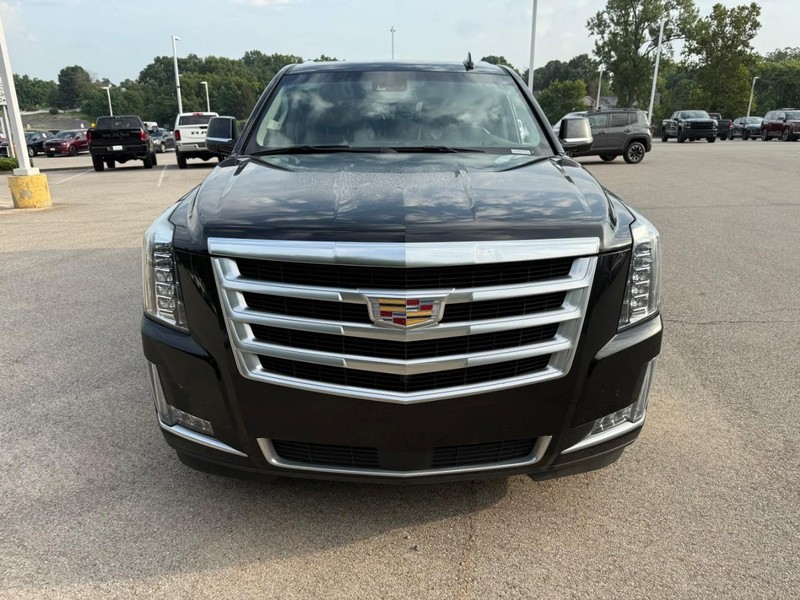 Cadillac Escalade ESV Vehicle Image 12