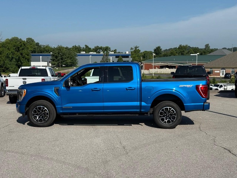 Ford F-150 Vehicle Image 03
