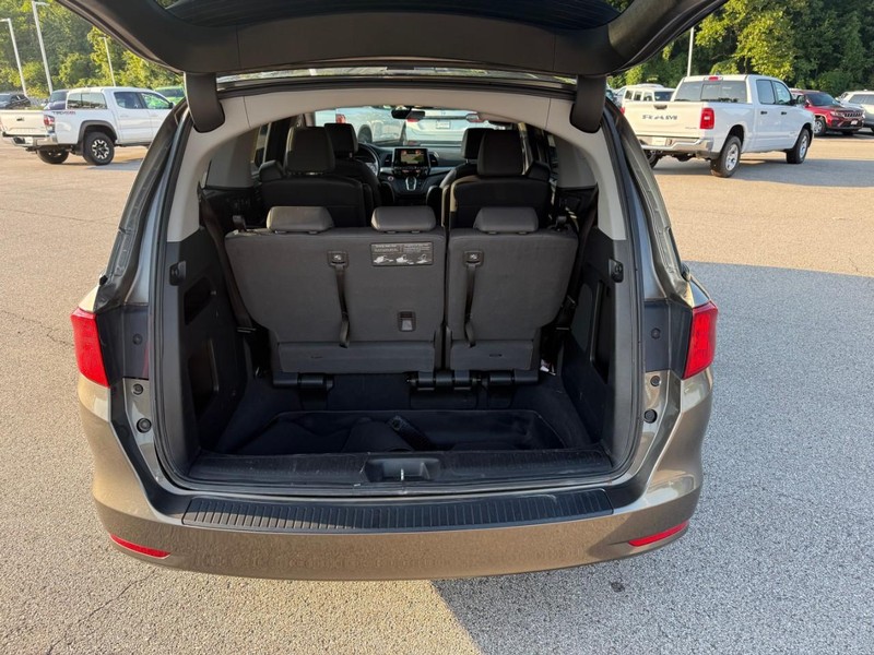 Honda Odyssey Vehicle Image 07