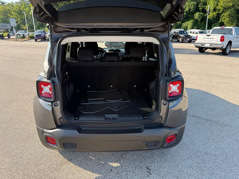 Jeep Renegade Vehicle Image 08