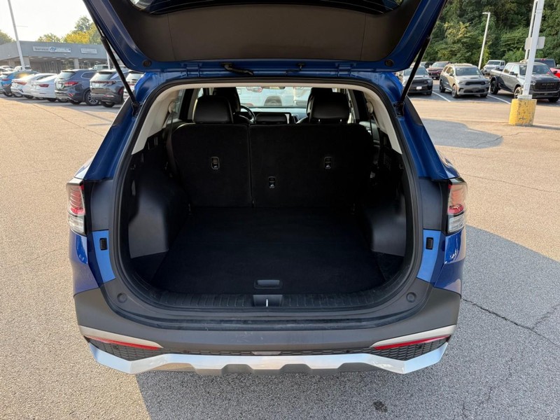 Kia Sportage Vehicle Image 08