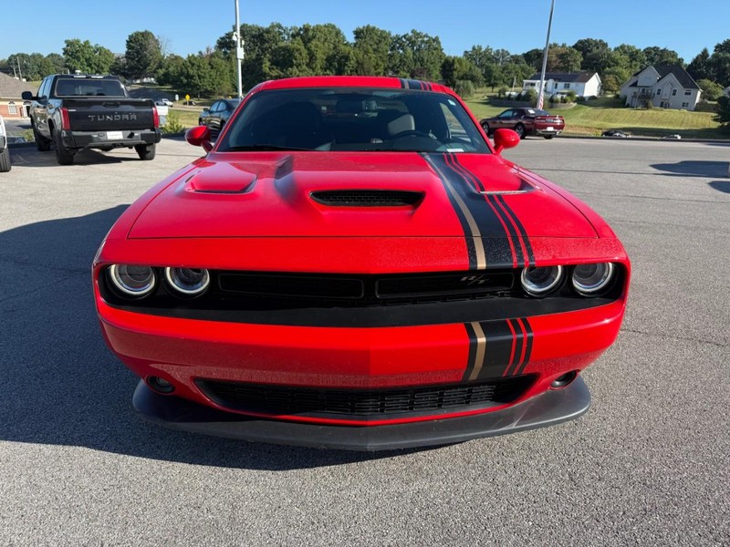 Dodge Challenger Vehicle Image 12