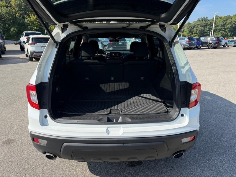 Honda Passport Vehicle Image 08