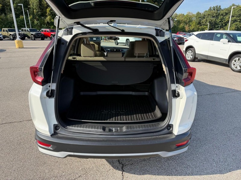 Honda CR-V Vehicle Image 08