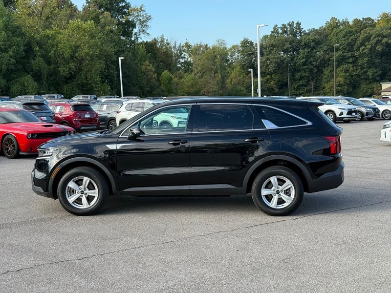 Kia Sorento Vehicle Image 03